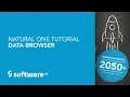 Natural ONE Tutorial - Data Browser