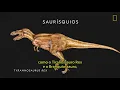 101 Dinossauros