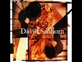 David Sanborn - As We Speak -1982