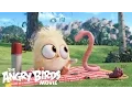 Download Lagu The Angry Birds Movie - See the Brand-New Hatchlings Short In Theaters!