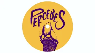 larry quest synthetic sisters percebes m sica 