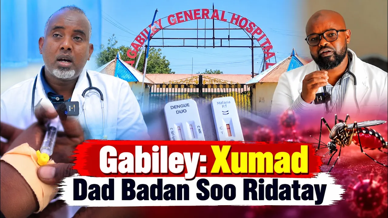 Xumadda
