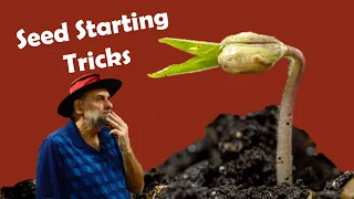 10 Seed Starting Tricks I Used to germinate 2 000 Different Plants