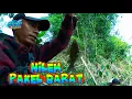 Download Lagu Liaran Pakel Barat Sumberpucung‼️ Waduk Lahor Malang Jawa Timur Indonesia