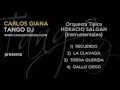 Tanda HORACIO SALGAN - Tangos Instrumentales - RECUERDO / LA CLAVADA / TIERRA QUERIDA / GALLO CIEGO