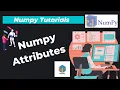 6 Numpy Attributes