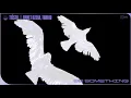 Tiësto, Ummet Ozcan, Tomhio - Be Something (Official Audio)