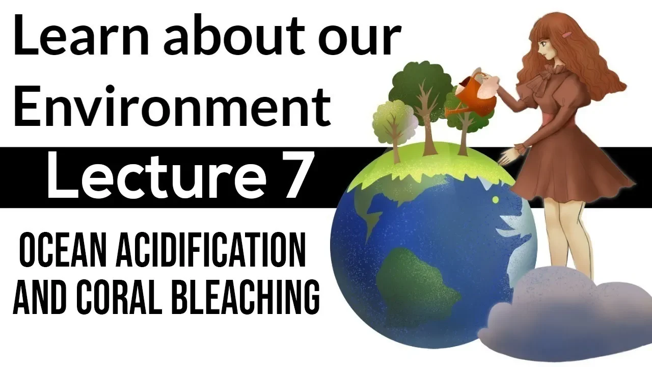 Environmental Science for Beginners | Ocean Acidification | #7