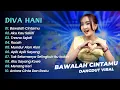 Download Lagu Diva Hani - BAWALAH CINTAMU - AKU KAU SAKITI || DANGDUT KOPLO HITS 2025