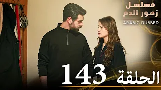 الحلقة 143 مسلسل زهور الدم مدبلج بالعربية Kan Çiçekleri 