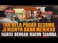 Download Lagu TAK RELA PACAR SESAMA JENlS NYA MENIKAH DENGAN WANITA ! BERAKHIR DENGAN RACUN