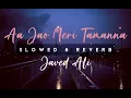 Lagu Aa Jao Meri Tamanna - Slowed \u0026 Reverb | SlowedSoul
