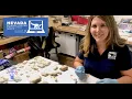 Virtual Field Trip Fossils of Nevada Paleontology Lab Tour