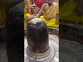 Download Lagu Ganga Dharay Shiv Ganga Dharay Song # Ujjain Mahakal Status 2023 Short Video Status Songs