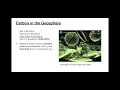 Piety-Copy of Session 8 - Carbon Cycle Template