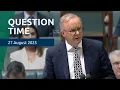 Download Lagu House Question Time - 27 August 2025