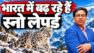 भारत में बढ़ रहे हैं Snow Leopard | Snow Leopard Numbers In India 