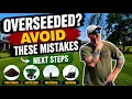 Overseeding Aftercare What Nobody Talks About