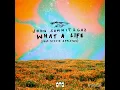 What A Life (feat. Stevie Appleton)