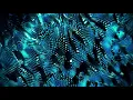 Oneohtrix Point Never - I Bite Through It Jade Cicada Accreate Remix