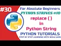 Python replace Method Replacing Substrings in a String Class 11 12 CS