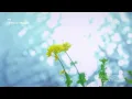 DOYOUNG 도영 '끝에서 다시 (Rewind)' | 청춘의 포말 (YOUTH) Playlist