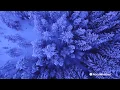 What is the AccuWeather RealFeel Temperature