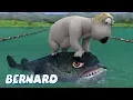 Download Lagu Bernard Bear | Triathlon AND MORE | Cartoons for Children