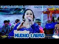 Download Lagu 1 Jam Full Album Cokek Mania Mudho Laras Gayeng Bersama Rini Epeledut, Wulan, Dewi \u0026 Toko Mc