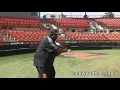 CamWood Bats - Tony Gwynn Approach to Hitting