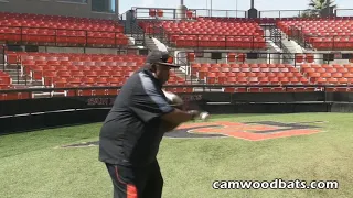 CamWood Bats - Tony Gwynn Approach to Hitting