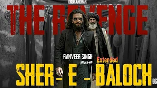 didi sher e baloch in loop dhurandhar the revenge ranveer s shashwat nabil sons of yusuf khaled