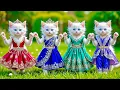 Download Lagu Dudi Dudi Dam Dam 💃💃💃 Cutest  Cat Dancing On Dudi Dudi Dam Dam😺  #dudidudi #dumdum #catdancing