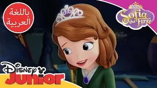 صوفيا الأولى   الفليجل دندنها