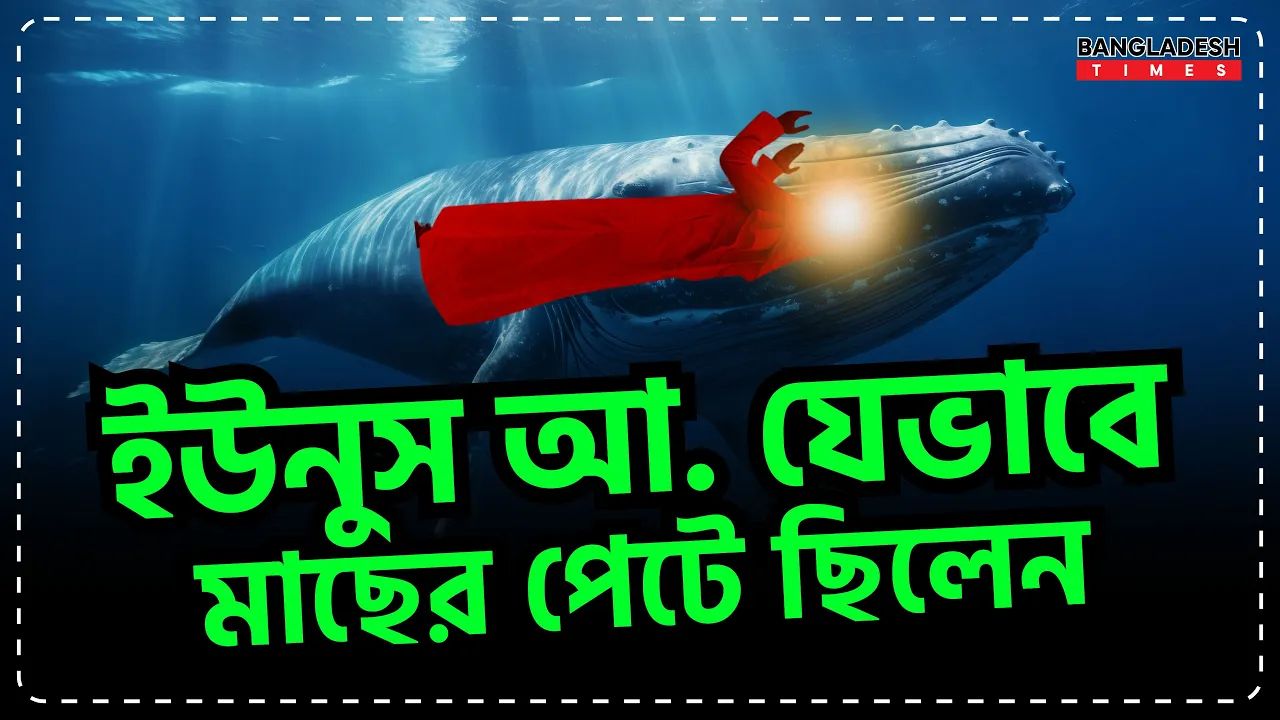 ইউনুস আ. যেভাবে মাছের পেটে ছিলেন | ইসলামিক জ্ঞান