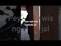 Download Lagu montor baru.jadi korban.capjikia.