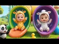Download Lagu Pok ame ame belalang kupu kupu, lagu anak, lagu ayam #sugihkids #nurseryrhymes