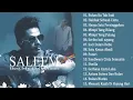 Lagu Best Of Saleem Iklim - Full Album Saleem Iklim - Slow Rock Malaysia #slowrockmalaysiaterbaik