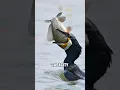 Lagu The Greediest Bird Alive #birds #animals #cormorant