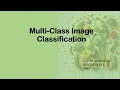 Implementation of a Simple CNN Model for Multi-Class Image Classification