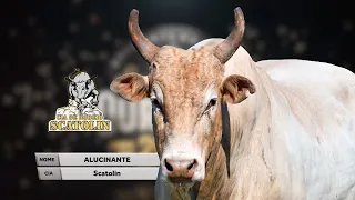 Rodeio de OUROESTE 2026 (S0RTEI0 / SEXTA / ROUND 1)