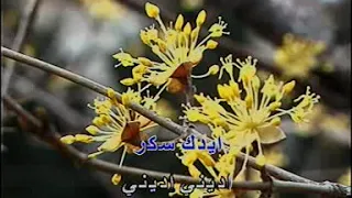 اجمل ما غني احمد عدويه بنت السلطان كاريوكي Ahmed Disco Dj 