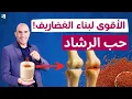 Download Lagu ما هي فوائد حب الرشاد 🌱 سر طبيعي مذهل يعيد بناء غضاريف الركبة والمفاصل