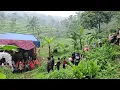 Download Lagu Bidadari Kampung Terpencil Pernikahan Nya Penuh Perjuangan
