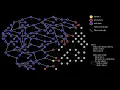 Animated Visualization BFS Algorithm Teaching Aid