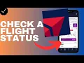 How to check a flight status in the Fly Delta app