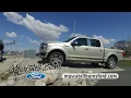 Muscatell Burns Ford