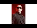 Pitbull Biography