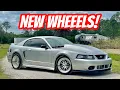 New Wheels OG Car Coyote Swap