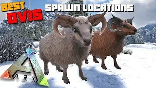 ARK The Island OVIS Spawn Locations Best Spots Where To Find Mutton